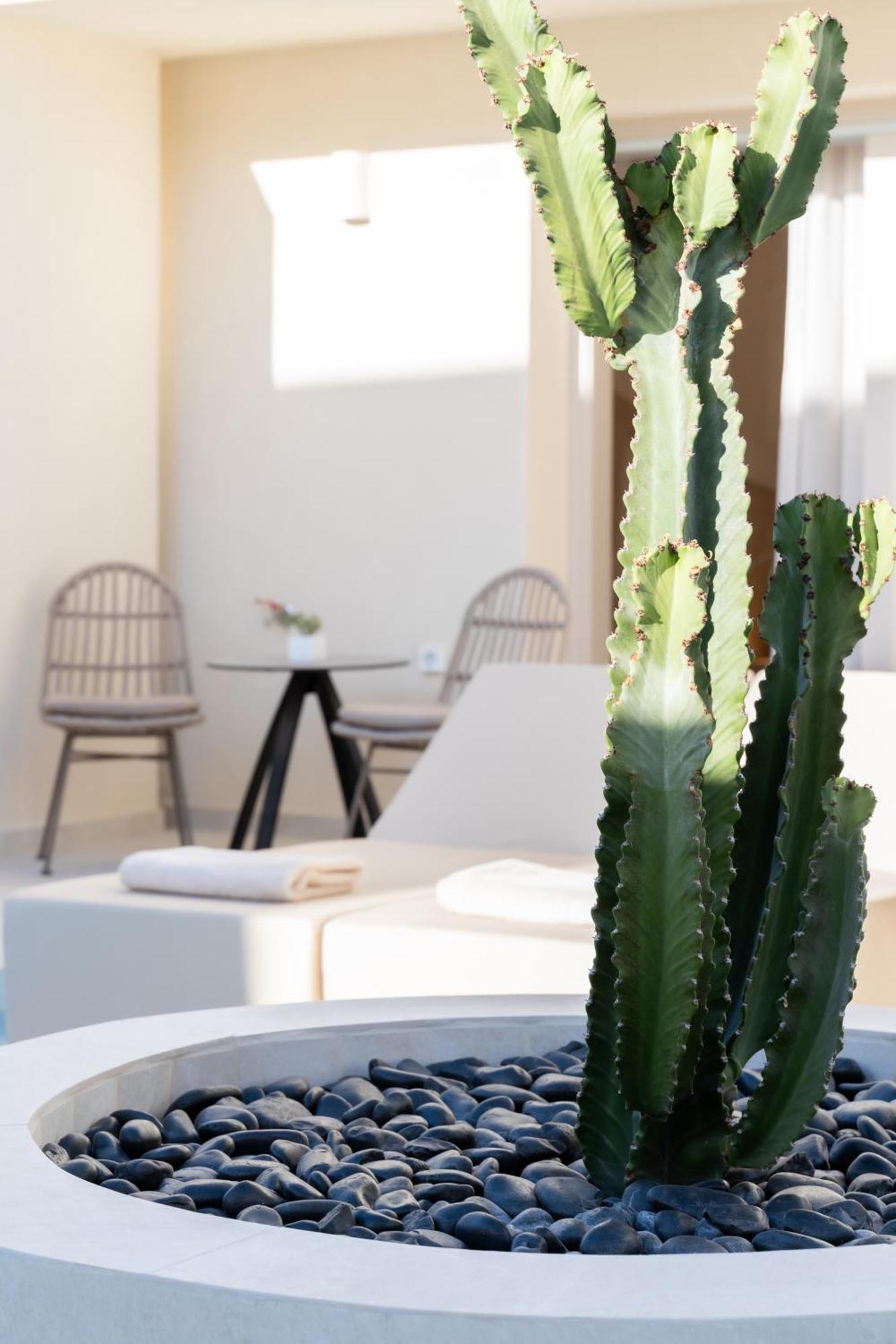 Heyday Luxury Suites ペリッサ エクステリア 写真